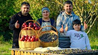 Simple Life in Azerbaijani Villages: Harvesting Red Apples and Enjoying Peaceful Living