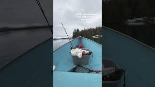 12ft Aluminum boat with 8.0HP Johnson #shorts #fishing #johnson