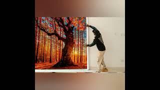 3d wall mural I of sunset in the forest with trees