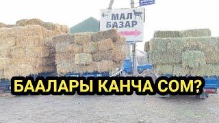 БЕДЕ, САМАН, ПАЯ,Чөп ПРЕСС || Баалары КАНЧА?