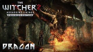 The Witcher 2 - Dragon Boss Fight (Insane Difficulty, Perfect)