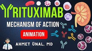  RITUXIMAB MECHANISM of ACTION in LUPUS NEPHRITIS | MNEMONIC ANIMATION