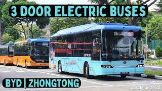 3 Door BYD and Zhongtong Electric Buses at the National University of Singapore [ComfortDelgro]