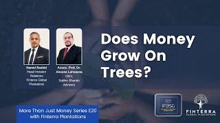 MTJM E20:  Does Money Grow On Trees?