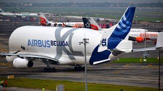 Airbus Beluga XL take off from Kolkata Airport/Plane spotting/flight/Vecc India