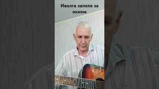 Иволга запела за окном (cover) #гитара #лето #музыка #кавер #guitar #шансон #песня