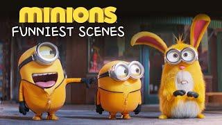 Minions - Funniest Scenes