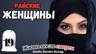 Райские ЖЕНЩИНЫ! | жизнь после смерти | лекция 19 | шейх Билял Асад