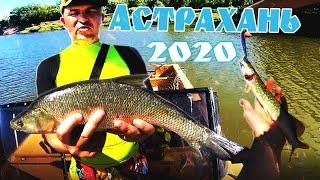 Рыбалка в Астрахани 2020.Замьяны.Ловля Жереха и жор крупного Окуня!