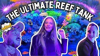 Is This The Best Saltwater Aquarium In The World? | Maras Reef | Germany 2024