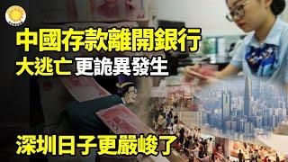 中國居民存款終於離開銀行大逃亡，但更詭異的事發生了；深圳，未來的日子更嚴峻；美日談判重要籌碼，中共痛失大金主；中國上市銀行近8成高管降薪，最高降幅82%【阿波羅網】