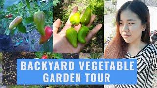 Akemi's Little Garden Tour | Healthy Living