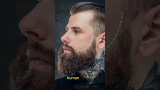 Best beard template.