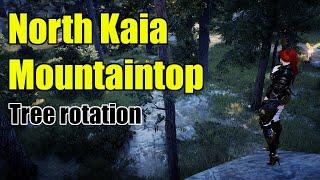 Lumbering - North Kaia Mountaintop rotation | Black desert online