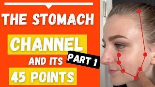 The Stomach Channel Meridian Acupuncture Points location & Functions (Part 1)