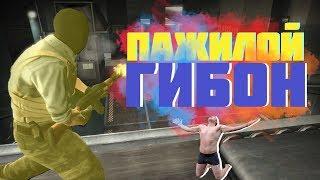 CS:GO - "ПАЖИЛОЙ ГИБОН"