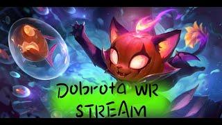 Вау,дневной стрим с тильтом в ранге | Вилд Рифт | League of Legends:Wild Rift