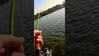 That Ain’t No Crappie… #fishing #fishingvideo #fish
