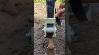 Shallow drip irrigation tape wife feet #Sannong tools #farming #vegetablegardening #microirrigation