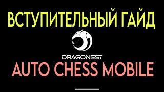 ВСТУПИТЕЛЬНЫЙ ГАЙД ПО ИГРЕ В AUTO CHESS MOBILE