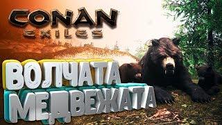 #CONANEXILES - ВОЛЧАТА и МЕДВЕЖАТА, ГДЕ НАЙТИ?