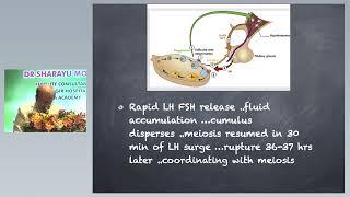 Luteinizing Hormone Luteinized Unruptured Follicle SIFA Reproductive Physiology Part 1