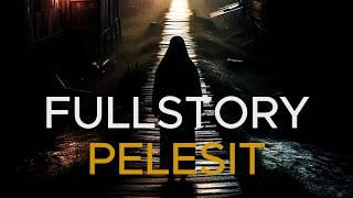 FULLSTORY PELESIT