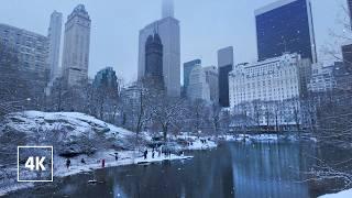 Winter Magic in Central Park, New York | Walking in Central Park in the Winter Snow