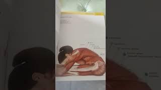 #The Manual of Yoga Anatomy by Sally Parkes #bookreview