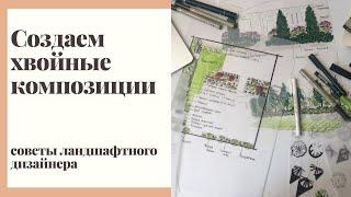 3 простые композиции с использованием хвойных растений.  Советы ландшафтного дизайнера.