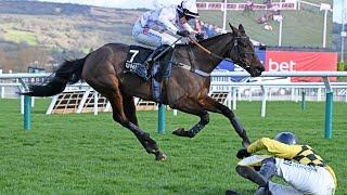 GOLDEN ACE lands dramatic Champion Hurdle as CONSTITUTION HILL & STATE MAN fall