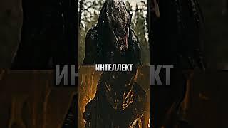 Хищник Ферал VS Хищник Берсеркер | Predator Feral vs Predator Berserker