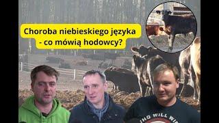 ASF i choroba niebieskiego języka na Opolszczyźnie. Jak radzą sobie hodowcy?