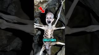 5 Mysterious Creatures Americans Say Are Totally Real