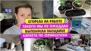 СГОРЕЛИ на РАБОТЕ / Такого мы НЕ ОЖИДАЛИ / Выполнила ОБЕЩАНИЕ / КАПУСТА ПО-ФРАНЦУЗСКИ / Vika Siberia