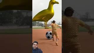 Amazing shot on golden Bird #vfx #funny #birds #animation