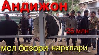 Андижон мол бозори нархлари 14-октябрь