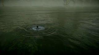 SHADOW OF THE COLOSSUS™:Remake | Колосс 7 - Hydrus