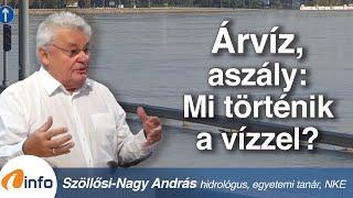 Árvíz és aszály: Mi történik a vízzel? Lesz-e elég ivóvizünk? Szöllősi-Nagy András, Inforádió, Aréna