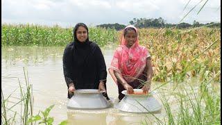 বন্যার পানিতে আমাদের ভুট্টা তলিয়ে গেল | Village life with Shampa