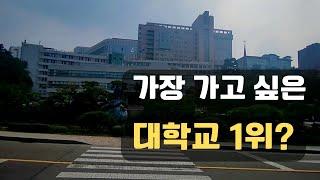 가고픈 대학 한국 사람들이 가장 가고 싶은 대학교 1위?