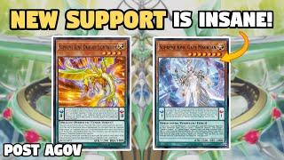 NEW  SUPPORT! Supreme King Z-ARC Deck Profile + COMBOS! Post AGOV | October 2023