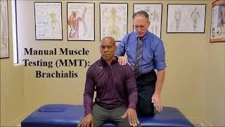 Manual Muscle Testing Upper Arm