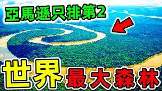 全世界最大的10個森林！亞馬遜只排第2，第一名面積1700萬平方，比台灣更大470倍。|#世界之最top #世界之最 #出類拔萃 #腦洞大開 #top10 #最大森林