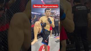 Звезда Кыргызстана Рико #бой #боец #бои #бокс #мма #нокаут #ufc #юфс #спорт #ufs #ufc #mmaufc