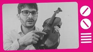 Violin Buying Guide For Beginners Low-Budget