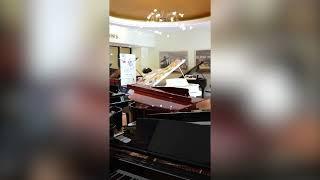 Steinway Piano Gallery Miami - Lauren Music Academy Collab