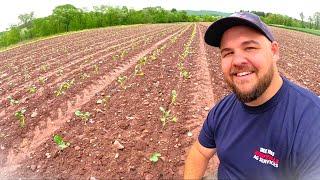 CHANGE ON OUR FAMILY FARM