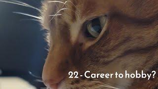 Career to hobby? (22 - VEDA 2022)