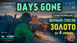 Days Gone "ЗОЛОТО" за 4 минуты | Сезон распродаж | Испытания | Black friday